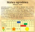 aaa30215923fdd2075721b1786fd4890