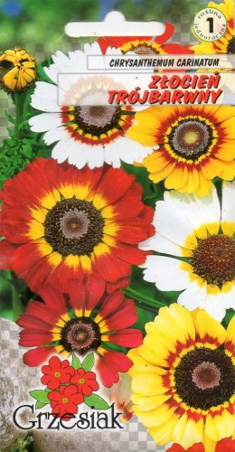ZŁOCIEŃ TRÓJBARWNY mieszanka - nasiona