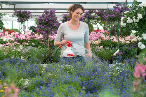 b807889765645ecdb7a91eda356ee013