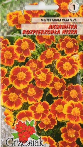 89a309e110faddee014febe89f919fec