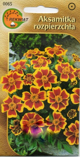 ffbd95a37217836352578fbb92f92a03