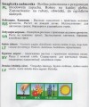 d04a5d9b04e9fb50cc8a9cf68e8ca1ea
