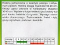 e387e8477cfe402bf42f0136c141d0a7