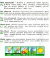 5531171e45e4a14255b99f430a50578b