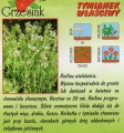 408ce839356d9f9d62c28ffc9bf55e05