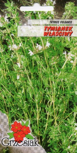 TYMIANEK WŁAŚCIWY (Thymus vulgaris) przyprawa nasiona