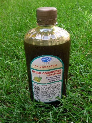 b48d80a6505e4a8f7c0e7b2c20e31e48