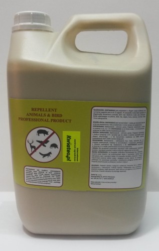 2016-09-29 15.25.06.jpg