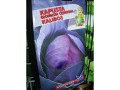 kapusta-czerwona-kalibos-srednio-pozna.800x600-s.jpg
