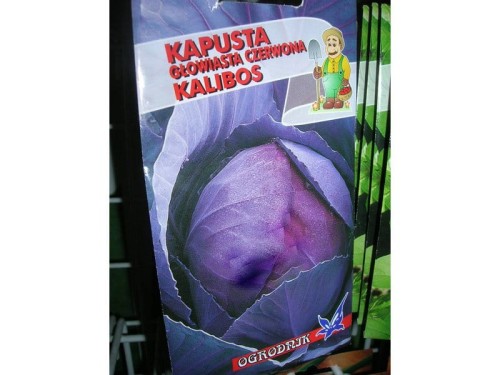 kapusta-czerwona-kalibos-srednio-pozna.800x600-s.jpg