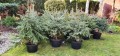 20211202_123409.jpg