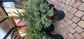 20211202_122624.jpg