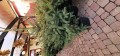 20211202_122619.jpg