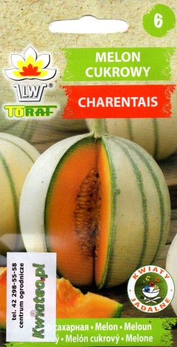 MELON 'Charentais' / 'Malaga' cukrowy jadalny wczesny nasiona do wysiewu łac. Cucumis Melo