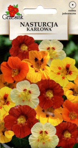 NASTURCJA NISKA karłowa mieszanka - nasiona kolory