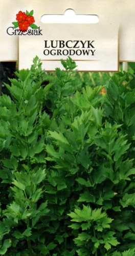 LUBCZYK ogrodowy lekarski (Levisticum Officinale) przyprawa nasiona ziół