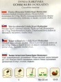 DYNIA 'UCHIKI KURI' HOKKAIDO nasiona sklep ogrodniczy kwiateo online wysiew.jpg