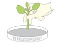 PL Rhizopon sadzonkowanie.JPG