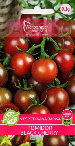 POMIDOR KOKTAILOWY 'BLACK CHERRY' CZARNY wysoki gruntowy tyczkowy również pod osłony do tunelu foliowego smaczny nasiona do wysiewu pomidorek