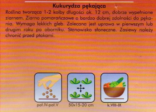 img390.jpg