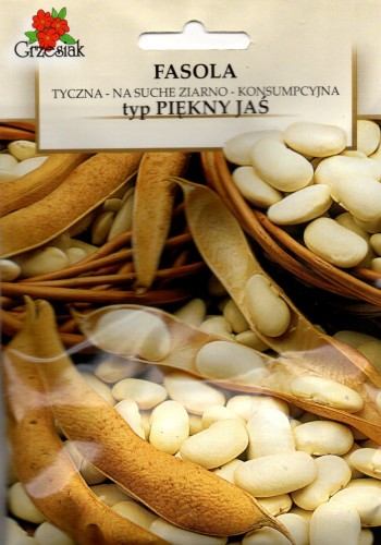 FASOLA 'Piękny Jaś' bardzo duże ziarna szparagowa tyczkowa nasiona jadalne