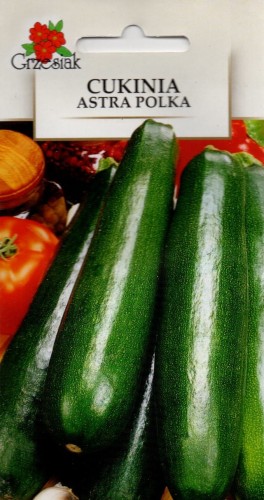 CUKINIA 'Astra Polka' smaczna duże zielone długie owoce wczesna Dynia zwyczajna nasiona