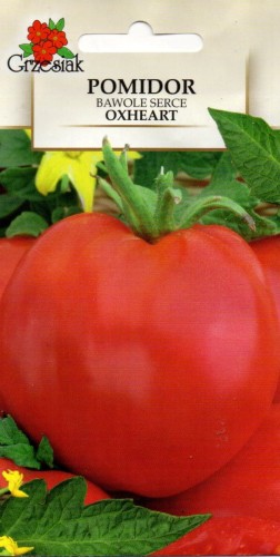 img484.jpg