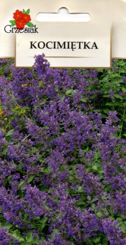 img504.jpg