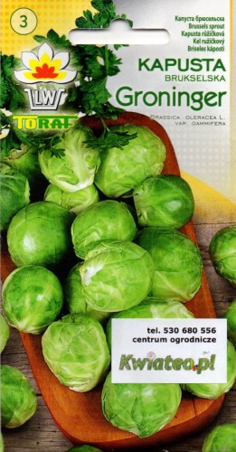 KAPUSTA BRUKSELSKA 'Groninger' / 'Casiopea' brukselka nasiona do wysiewu