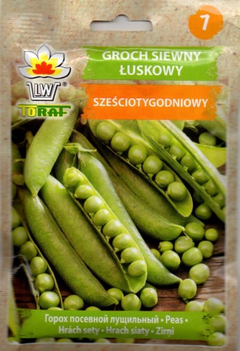 GROCH SZEŚCIOTYGODNIOWY siewny łuskowy bardzo wczesny nasiona do wysiewu groszek zielony