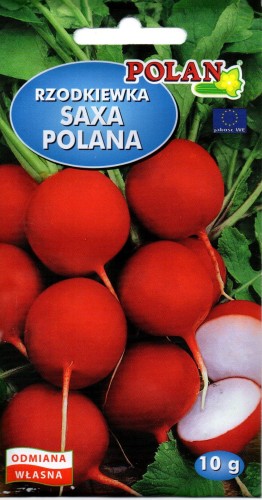 img559.jpg