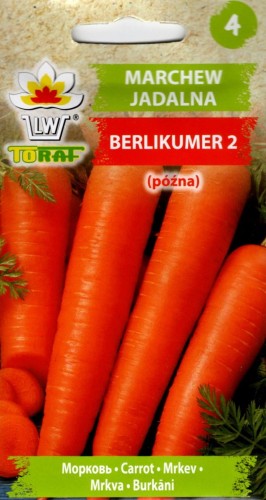 MARCHEW późna 'Berlikumer' 'Perfekcja' jadalna korzeniowa nasiona