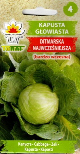KAPUSTA BIAŁA WCZESNA 'Pierwszy zbiór' / 'Dithmarsher fruher' / 'Ditmarska Najwcześniejsza' / 'Zora' głowiasta wczesna nasiona