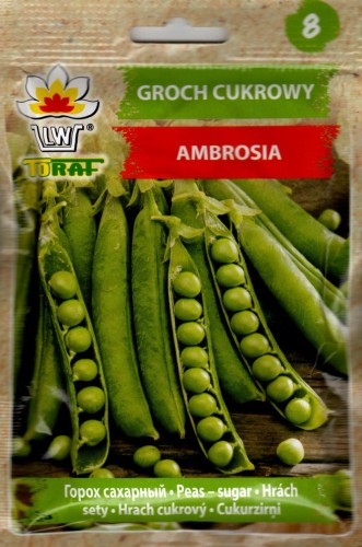 GROCH CUKROWY 'AMBROSIA' strąkowy strączkowy groszek konserwowy zielony wczesny nasiona do wysiewu