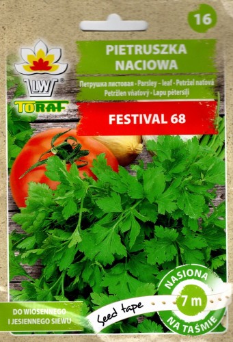 PIETRUSZKA NACIOWA 'Festival 68' nasiona w taśmie taśma nasienna gładkie liście zwyczajna natka do rosołu nać