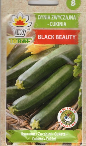 CUKINIA BLACK BEAUTY nasiona do wysiewu odmiana wczesna bardzo plenna ciemnozielona miąższ jasny soczysty  do gruntu i pod osłony