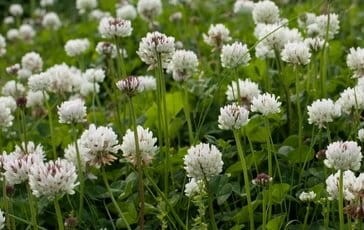 5b551ff8ebf3eae07fccc9042deac913