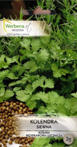KOLENDRA siewna (Coriandrum Sativum) przyprawa nasiona ziół