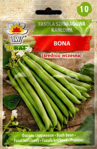 FASOLA 'Bona' zielonostrąkowa karłowa szparagowa nasiona bezłykowa