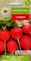 img20240209_20123577.jpg