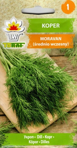 KOPER 'MORAVAN' średnio wczesny bardzo aromatyczny plenny na zielono późno wybija w pędy nasienne nasiona