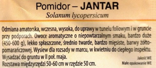 Pomidor jantar żółty wczesny wysoki duże owoce nasiona sklep ogrodniczy z nasionami kwiateo uprawa opis odmiany.jpg