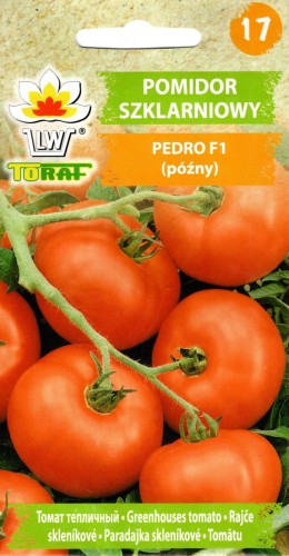 POMIDOR SZKLARNIOWY 'PEDRO' F1 późny czerwony wysoki typ LSL pod osłony twardy średnio-duży odporny - nasiona