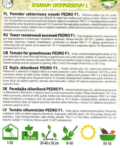 pomidor szklarniowy wysoki pedro f1 późny długo owocujący odporny na pękanie nasiona do wysiewu wysiew nasion sklep ogrodniczy kwiateo  owoce średnie i duże smaczny czerwony uprawa