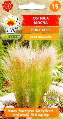TRAWA ozdobna OSTNICA MOCNA 'PONY TAILS' wieloletnia (Stipa tenuissima) nasiona koński ogon kucyk ogon kucyka falująca dekoracyjna miękka urokliwa