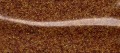 img20240306_19350667.jpg
