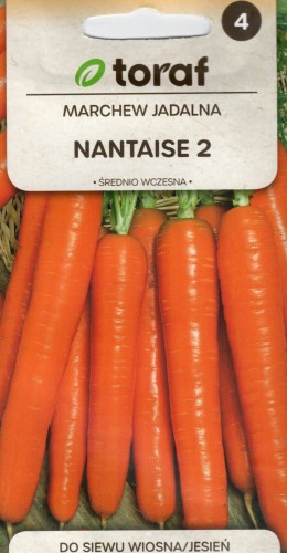 MARCHEW 'Nantejska ' jadalna średnio-wczesna nasiona NANTES / NANTAISE