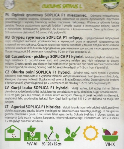 img20250129_17343720 — kopia.jpg