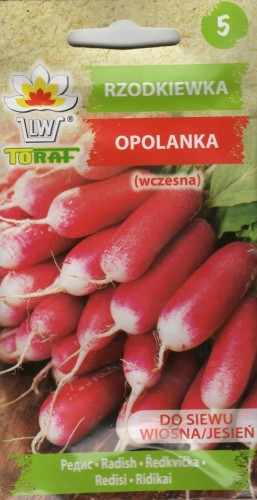 RZODKIEWKA 'Opolanka' bardzo plenna - nasiona