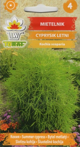 img20250130_11512109 — kopia.jpg